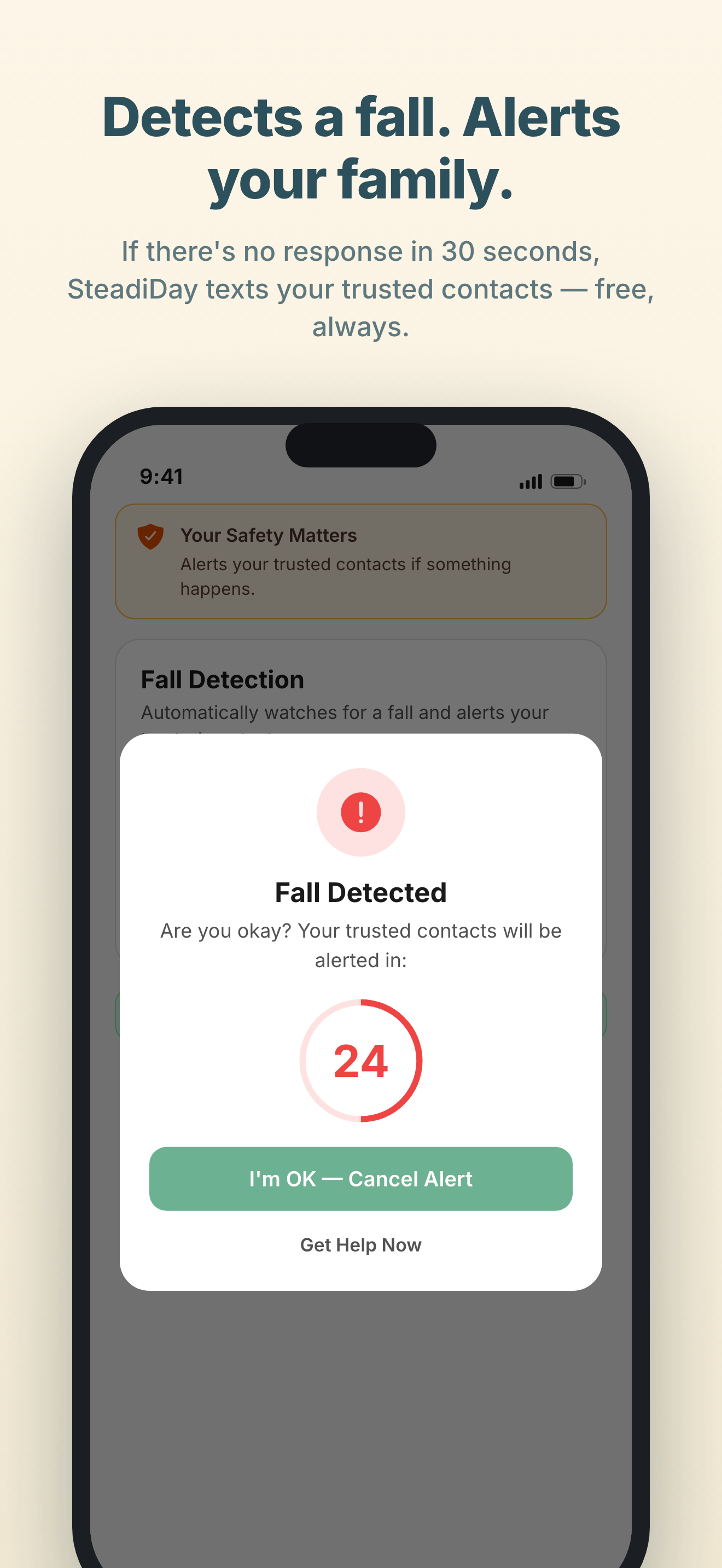 SteadiDay fall detection alert with 30-second countdown