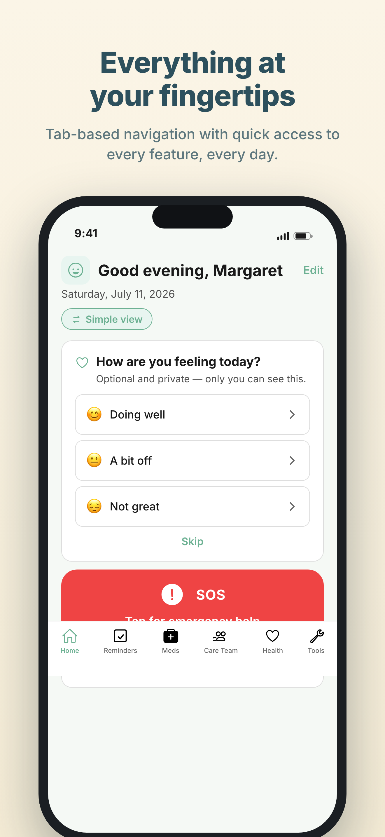 SteadiDay Standard Mode home screen